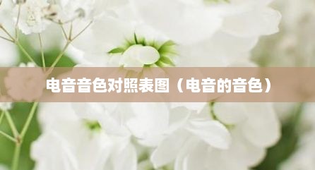 电音音色对照表图（电音的音色）