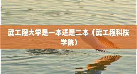 武工程大学是一本还是二本（武工程科技学院）