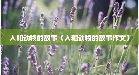 人和动物的故事（人和动物的故事作文）