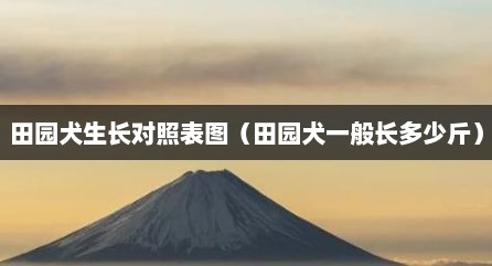 田园犬生长对照表图（田园犬一般长多少斤）