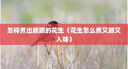 怎样煮出脆脆的花生（花生怎么煮又脆又入味）