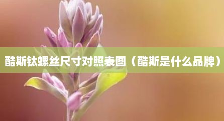 酷斯钛螺丝尺寸对照表图（酷斯是什么品牌）