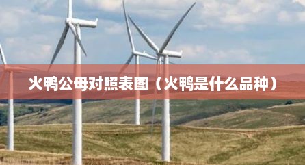 火鸭公母对照表图（火鸭是什么品种）