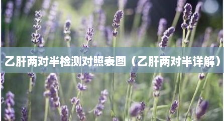 乙肝两对半检测对照表图（乙肝两对半详解）