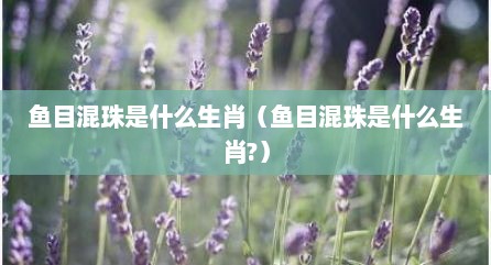 鱼目混珠是什么生肖（鱼目混珠是什么生肖?）