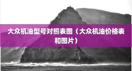 大众机油型号对照表图（大众机油价格表和图片）