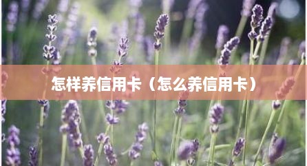 怎样养信用卡（怎么养信用卡）