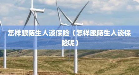 怎样跟陌生人谈保险（怎样跟陌生人谈保险呢）