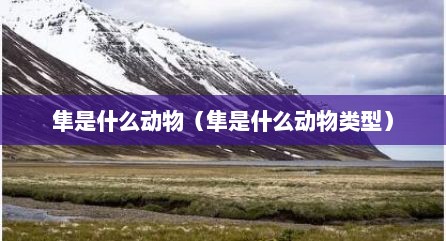隼是什么动物（隼是什么动物类型）