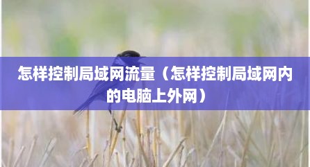 怎样控制局域网流量（怎样控制局域网内的电脑上外网）