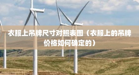 衣服上吊牌尺寸对照表图（衣服上的吊牌价格如何确定的）
