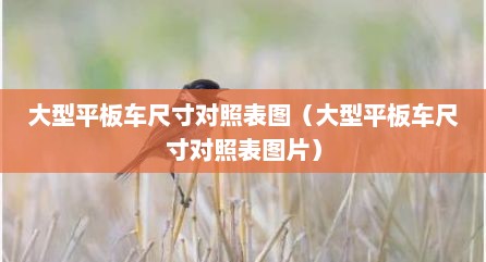 大型平板车尺寸对照表图（大型平板车尺寸对照表图片）