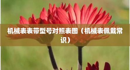 机械表表带型号对照表图（机械表佩戴常识）