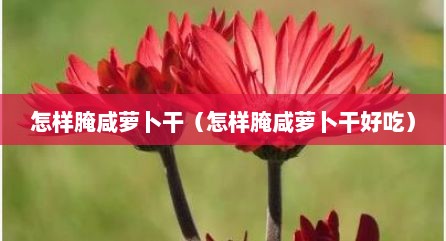 怎样腌咸萝卜干（怎样腌咸萝卜干好吃）