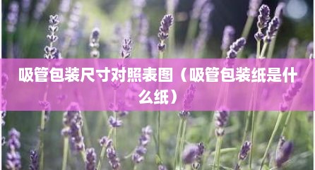 吸管包装尺寸对照表图（吸管包装纸是什么纸）