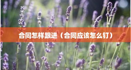 合同怎样跟进（合同应该怎么钉）