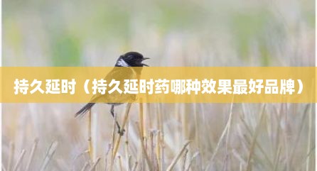 持久延时（持久延时药哪种效果最好品牌）