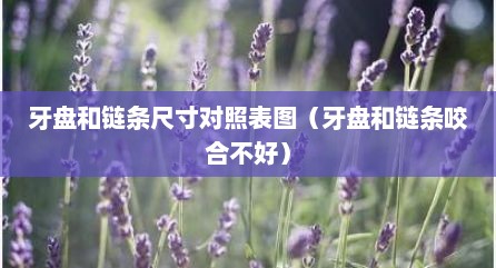 牙盘和链条尺寸对照表图（牙盘和链条咬合不好）