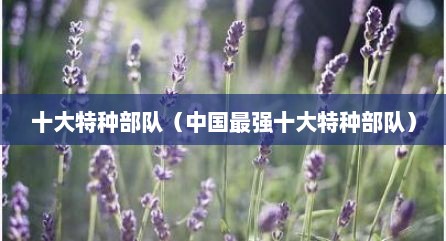 十大特种部队（中国最强十大特种部队）