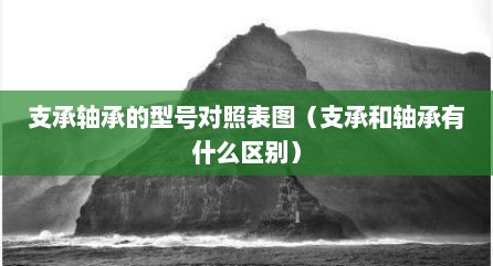 支承轴承的型号对照表图（支承和轴承有什么区别）