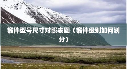 锻件型号尺寸对照表图（锻件级别如何划分）