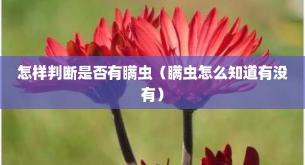 怎样判断是否有瞒虫（瞒虫怎么知道有没有）