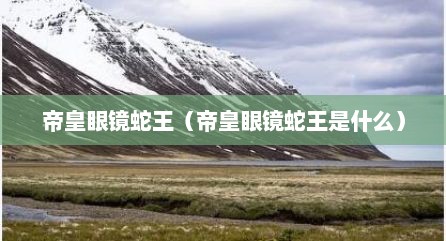 帝皇眼镜蛇王（帝皇眼镜蛇王是什么）