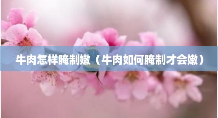 牛肉怎样腌制嫩（牛肉如何腌制才会嫩）