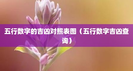 五行数字的吉凶对照表图（五行数字吉凶查询）
