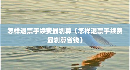 怎样退票手续费最划算（怎样退票手续费最划算省钱）