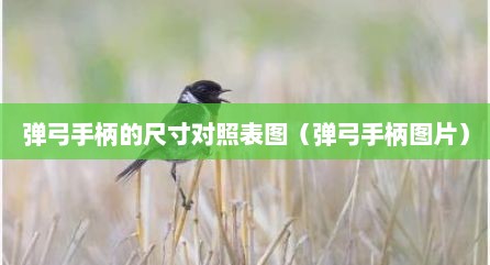 弹弓手柄的尺寸对照表图（弹弓手柄图片）