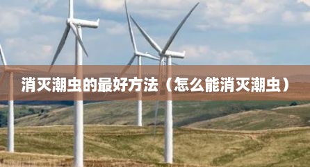 消灭潮虫的最好方法（怎么能消灭潮虫）
