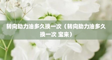 转向助力油多久换一次（转向助力油多久换一次 宝来）