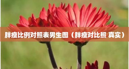 胖瘦比例对照表男生图（胖瘦对比照 真实）