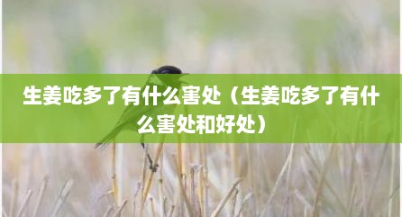 生姜吃多了有什么害处（生姜吃多了有什么害处和好处）