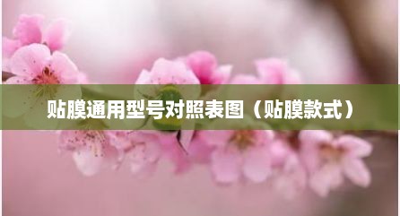 贴膜通用型号对照表图（贴膜款式）