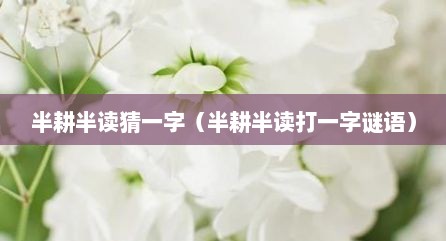 半耕半读猜一字（半耕半读打一字谜语）