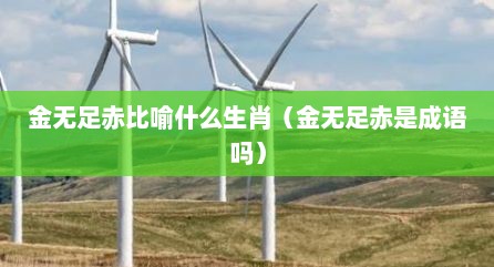 金无足赤比喻什么生肖（金无足赤是成语吗）
