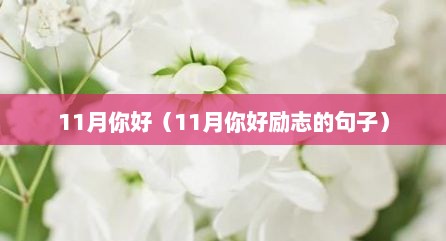 11月你好（11月你好励志的句子）