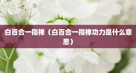 白百合一指禅（白百合一指禅功力是什么意思）
