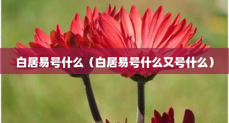 白居易号什么（白居易号什么又号什么）