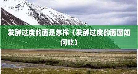 发酵过度的面是怎样（发酵过度的面团如何吃）