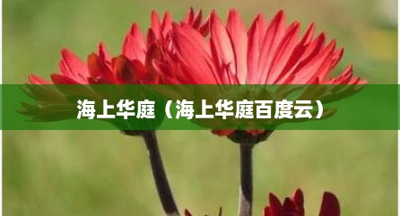 海上华庭（海上华庭百度云）