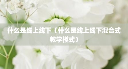 什么是线上线下（什么是线上线下混合式教学模式）