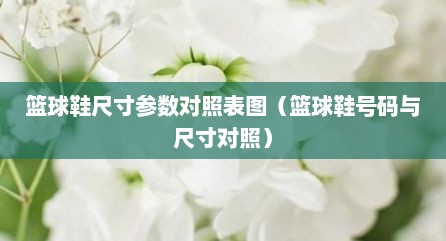 篮球鞋尺寸参数对照表图（篮球鞋号码与尺寸对照）