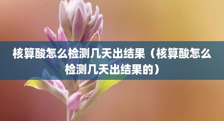 核算酸怎么检测几天出结果（核算酸怎么检测几天出结果的）