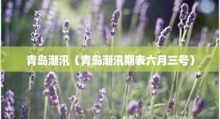 青岛潮汛（青岛潮汛期表六月三号）