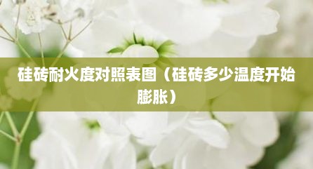 硅砖耐火度对照表图（硅砖多少温度开始膨胀）