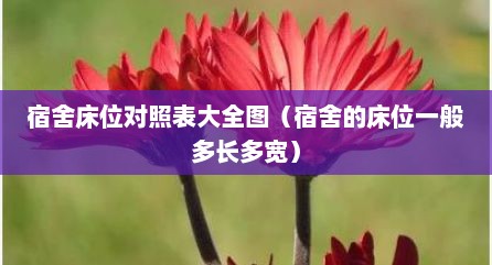 宿舍床位对照表大全图（宿舍的床位一般多长多宽）