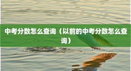 中考分数怎么查询（以前的中考分数怎么查询）